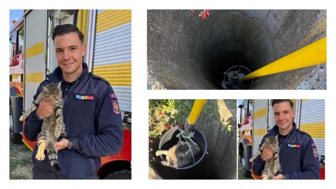 O pisică a fost salvată după ce a căzut într-o fântână adâncă de 7 metri