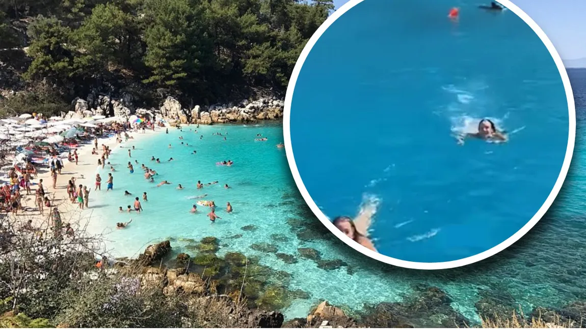 Clipe de groază pentru două turiste în Grecia. Un mistreț a apărut din senin în mare și le-a urmărit VIDEO