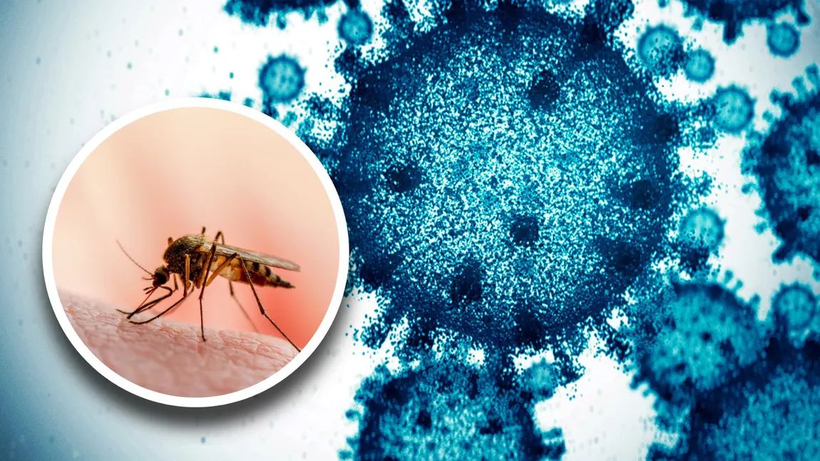 O nouă epidemie lovește China! Aproape 3.000 de persoane au fost infectate de virus într-o singură săptămână