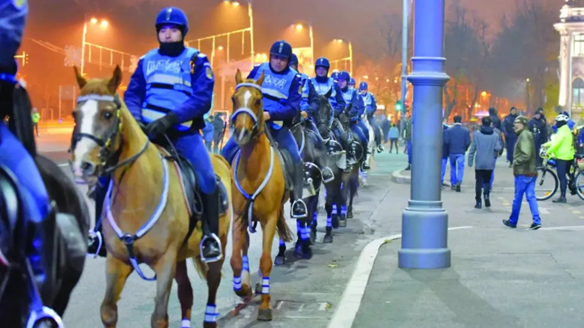 Jandarmii primesc reguli de utilizare a cailor. Când vor putea să fie scoși în stradă caii Jandarmeriei Române și în ce condiții