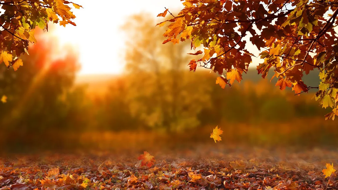 Prognoza meteo. Revine canicula şi scăpăm de ploi. Cum va fi vremea în Capitală