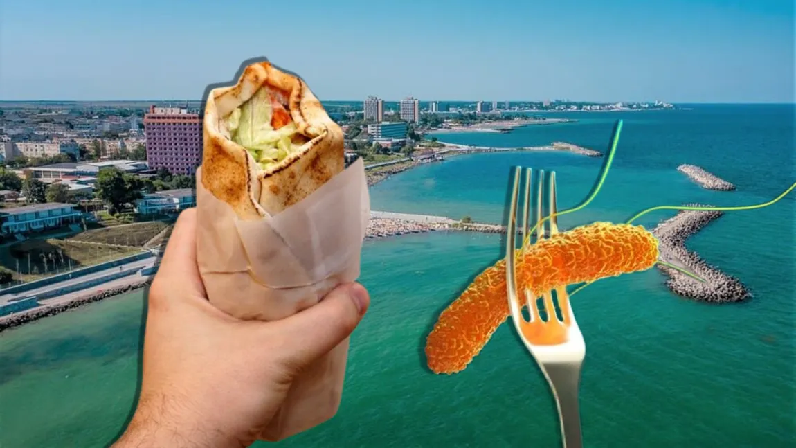 Odios! Shaorma cu FECALE și Salmonella pe litoralul românesc! O simplă vacanță la malul Mării Negre te poate condamna la moarte