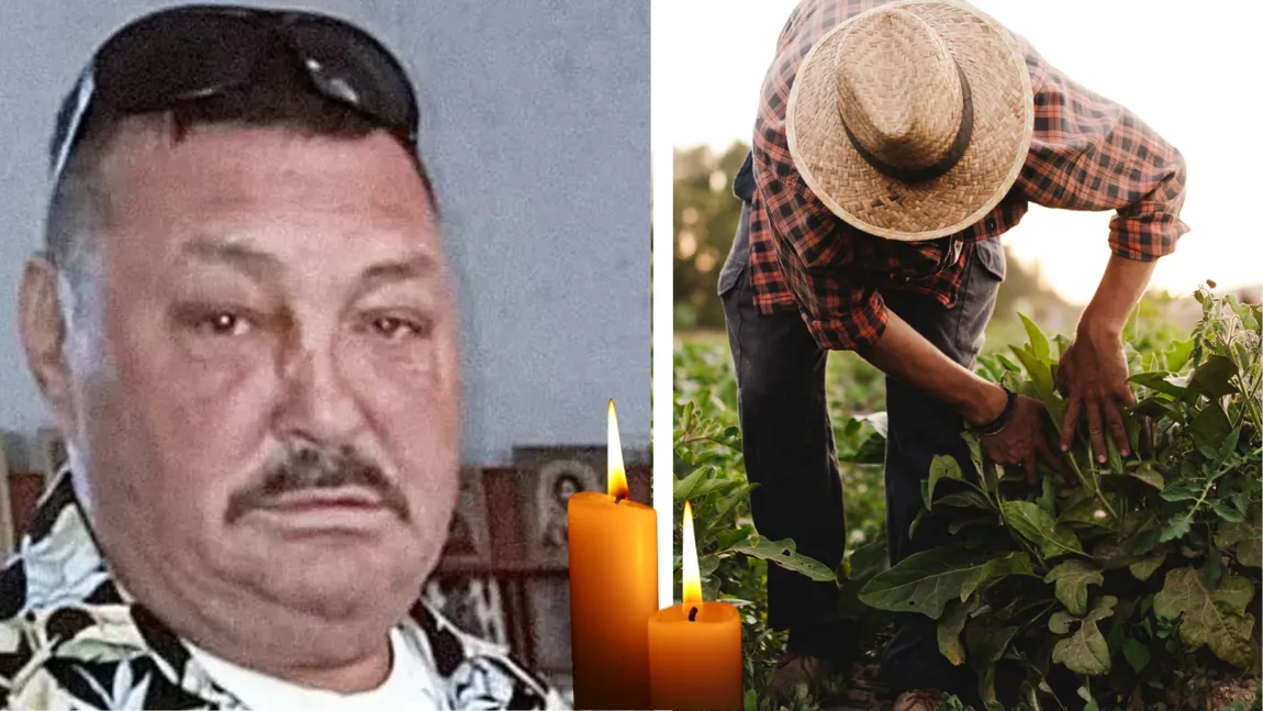 Tragedie cutremurătoare în Spania! Un român s-a prăbușit pe câmp, răpus de caniculă, iar șefa fără suflet a refuzat să cheme ambulanța