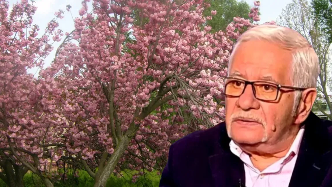 Zodiacul copacilor 2025. Mihai Voropchievici prezintă zodia care are numai ghinion în dragoste. Este lipsită de luciditate, orgolioasă dar și aventuroasă