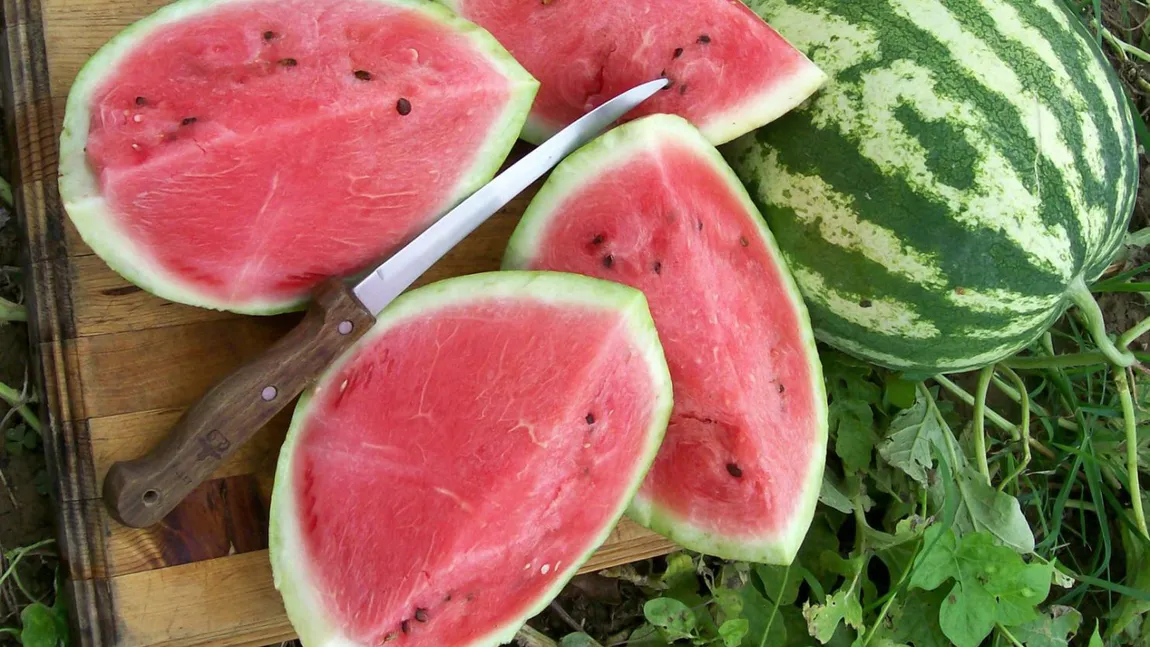 Seminţe de pepene verde, o gustare plină de proteine. Se trag la tigaie şi se servesc în salate sau cu iaurt
