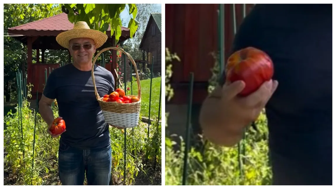 Emil Boc, mândru că i s-au copt roșiile. ”No, bună treabă. Doamne ajută!” VIDEO