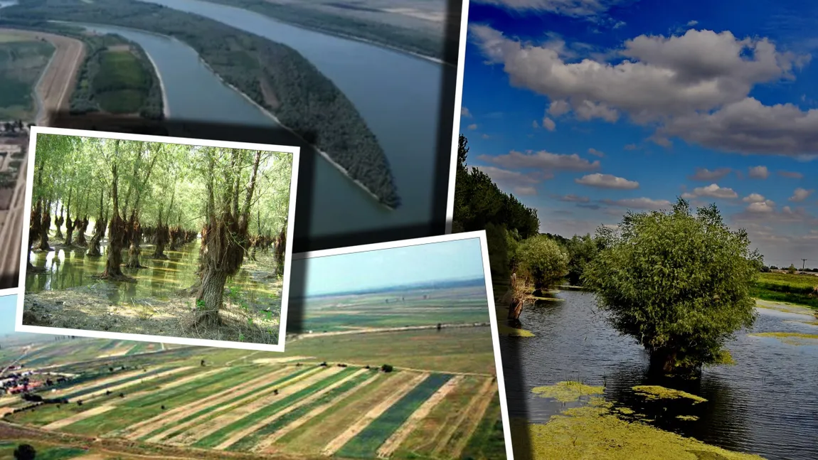 Cine este proprietarul Insulei Mari a Brăilei, unul dintre cele mai productive terenuri agricole din România. Agricultorii români, profund nemulțumiți