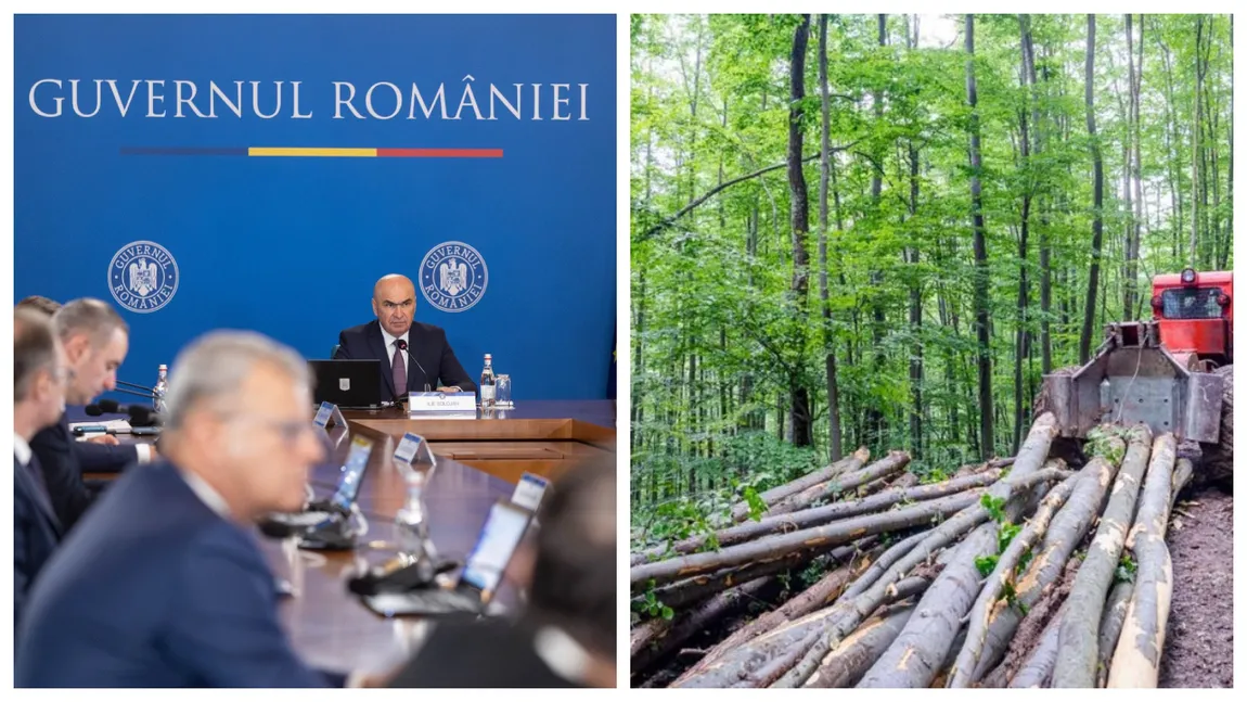 Guvernul și-a dat undă verde pentru reorganizarea Romsilva. ”Este creat temeiul legal”