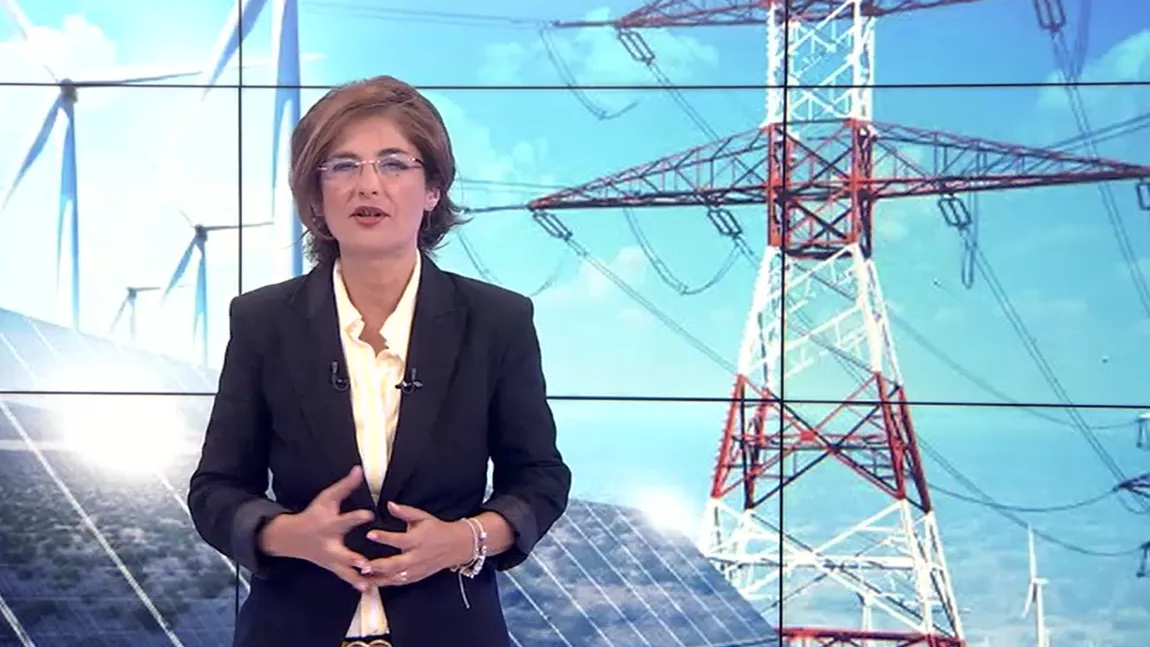 EXCLUSIV. Andreea Creţulescu: Cine a avut cel mai mult de câștigat din liberalizarea prețurilor la energie?