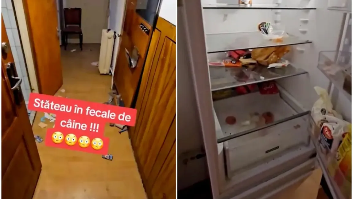 Apartament din Capitală, distrus de un cuplu de chiriași. Proprietarul a rămas șocat de ce a putut să găsească în locuință