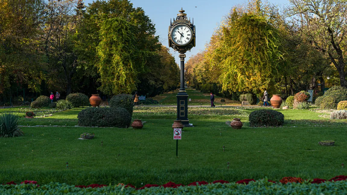 Primăria Capitalei creşte de 50 de ori amenzile pentru distrugerea spaţiilor verzi