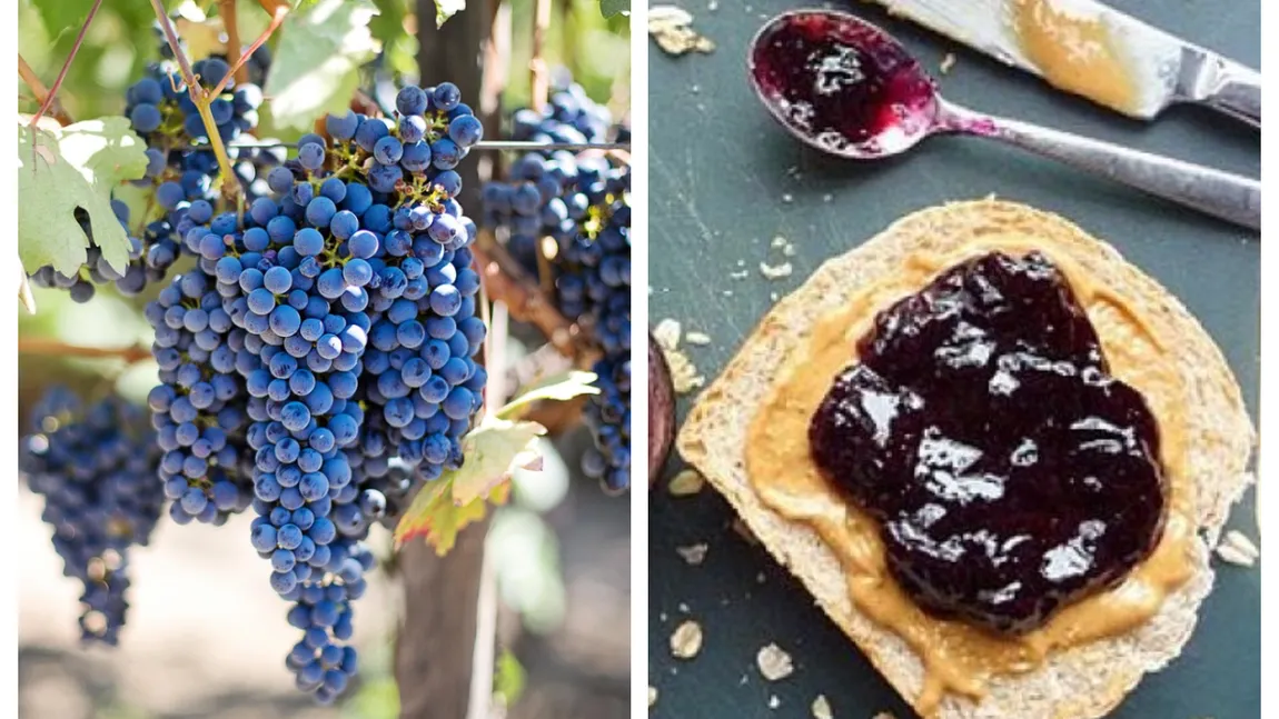 Dulceață de struguri, rețeta vedetă a toamnei. Musafirii vor fi impresionați de acest deliciu