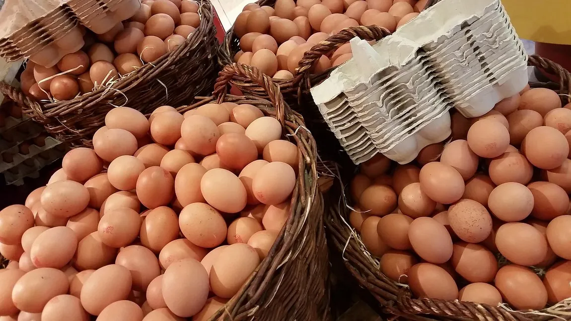 Prețul ouălor a început să crească în toată Europa. Cu cât le vând producătorii români