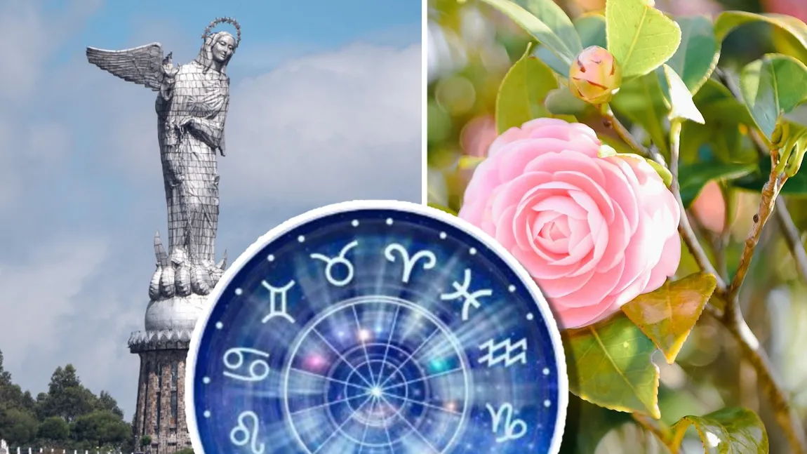 Mesajul ZILEI pentru zodii de la Fecioara Maria. Menține-ți simțul umorului și nu lua lucrurile așa de mult în serios