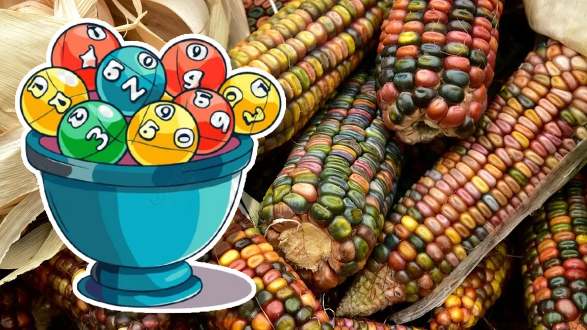 Rezultate loto 18 septembrie. Numerele exrase la Loto 6/49, Joker şi Loto 5/40
