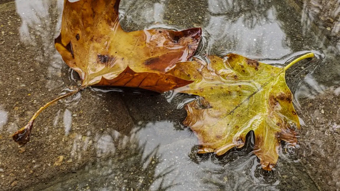 Vremea se răcește în România. Meteorologii Accuweather au actualizat prognoza meteo pentru 12-21 septembrie
