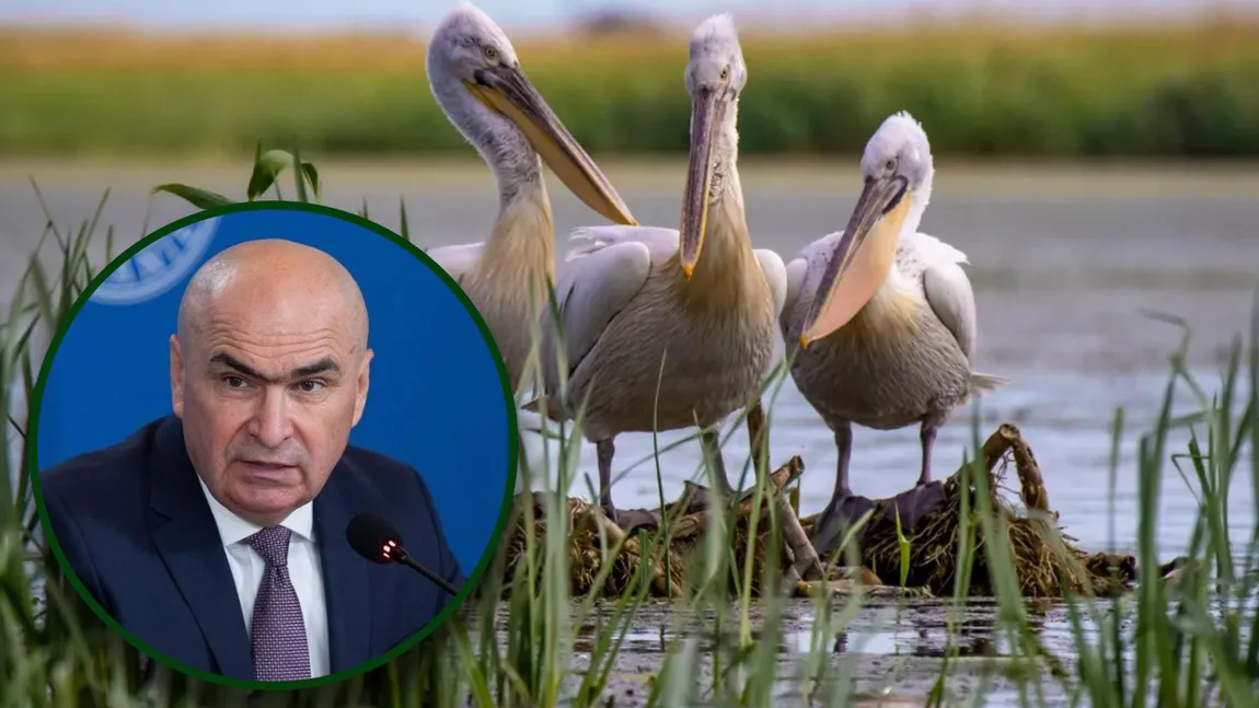 Guvernul Bolojan desființează Comisariatul Rezervaţiei Biosferei „Delta Dunării”. Acesta va fi ”înghițit” de Garda de Mediu Tulcea