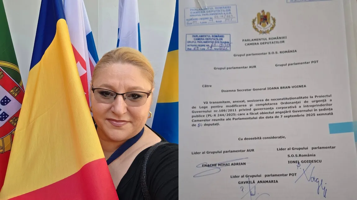 Diana Șoșoacă atacă la CCR pachetele de măsuri ale guvernului Ilie Bolojan