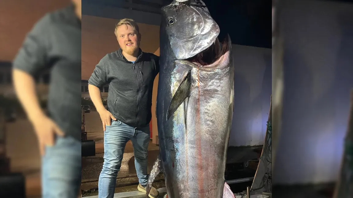 Un pescar a prins un ton gigantic de 280 de kilograme: „ M-am lupat două ore și jumătate. Are capul mai mare ca al meu”