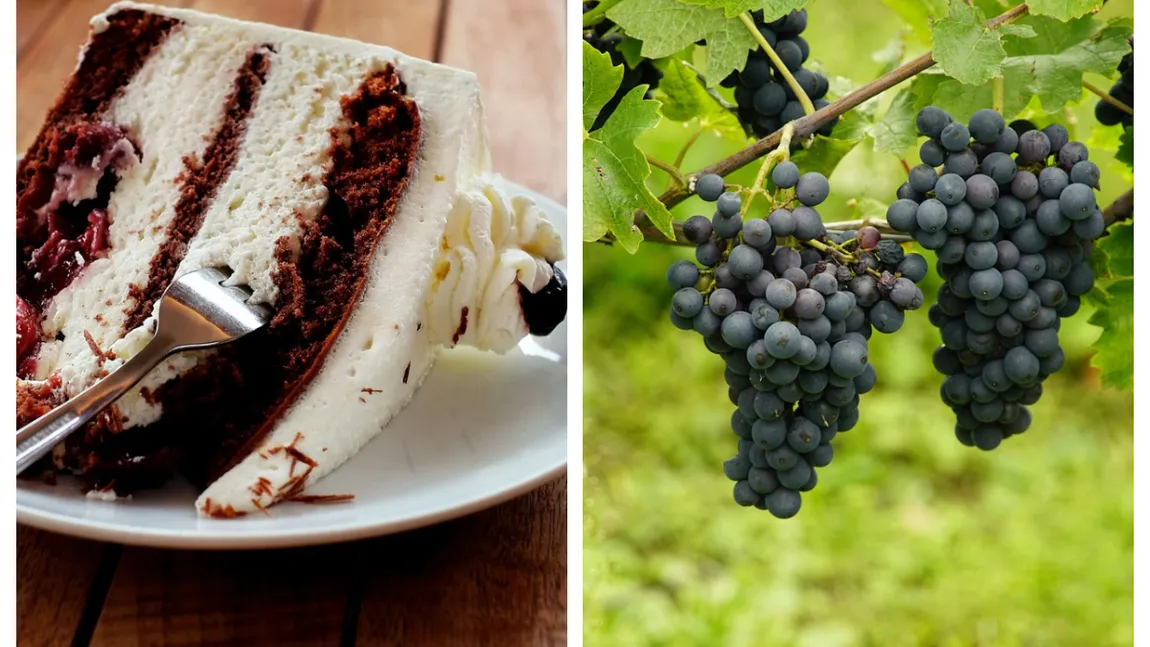 Tort de struguri, desertul vedetă al toamnei. Cum se prepară
