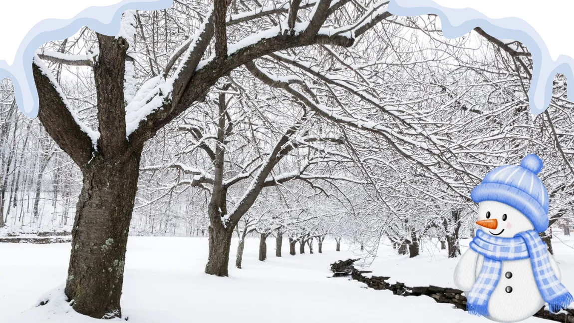 Adio toamnă, gerul vine cu pași repezi: Iată când va fi prima temperatură negativă din București, conform Accuweather