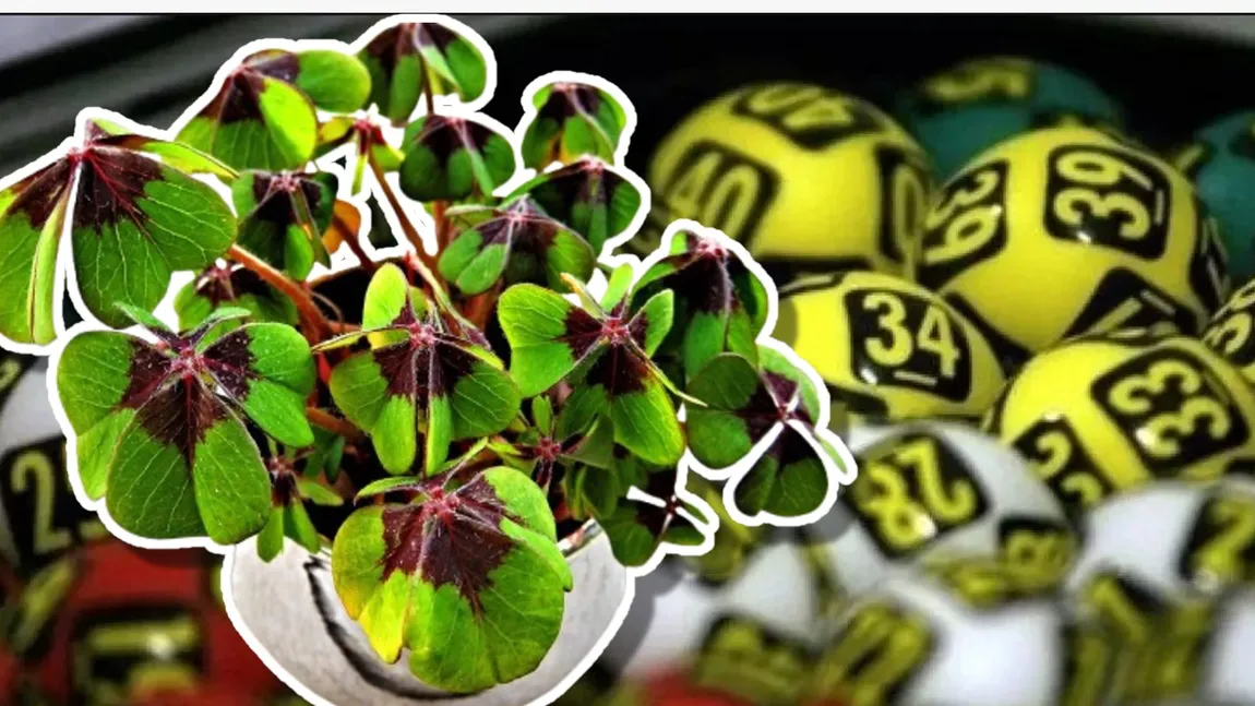 Rezultate Loto 30 octombrie 2025. Report de peste 8,78 milioane de euro la 6/49, categoria I. Avertisment al Loteriei Române referitor la tentativele de fraudă