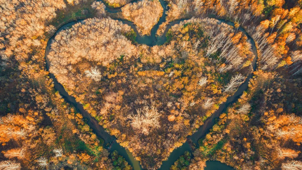 DRAGOSTEA profundă sosește pentru 5 ZODII. Cupidon nu ratează ţinta până la finalul săptămânii