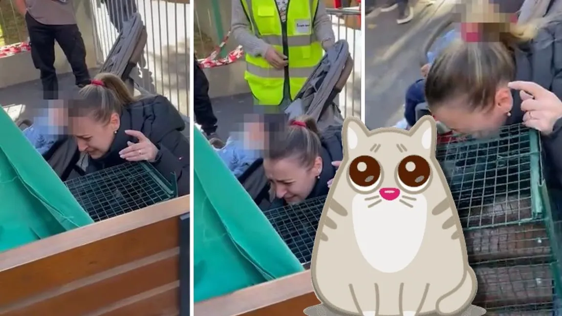 VIDEO Miracol după 12 zile! O pisicuță a fost salvată din blocul explodat în Rahova. Revederea cu stăpâna ei, de-a dreptul emoționantă