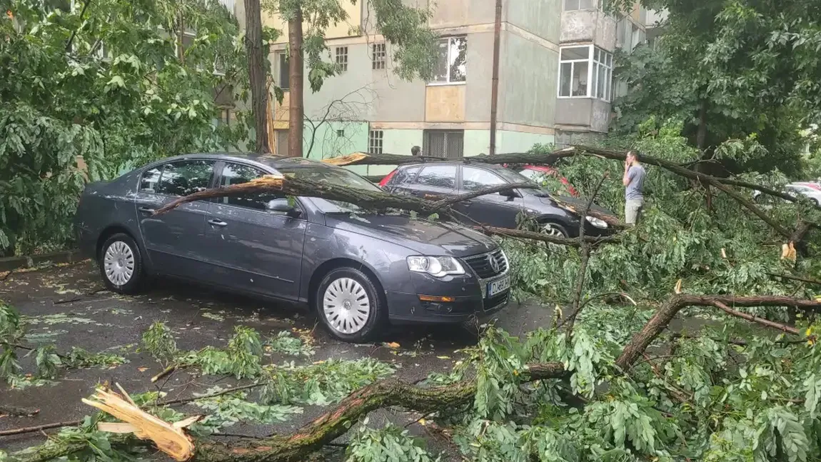 Dezastru făcut de vânt în București. Zeci de mașini au fost avariate de copaci căzuți