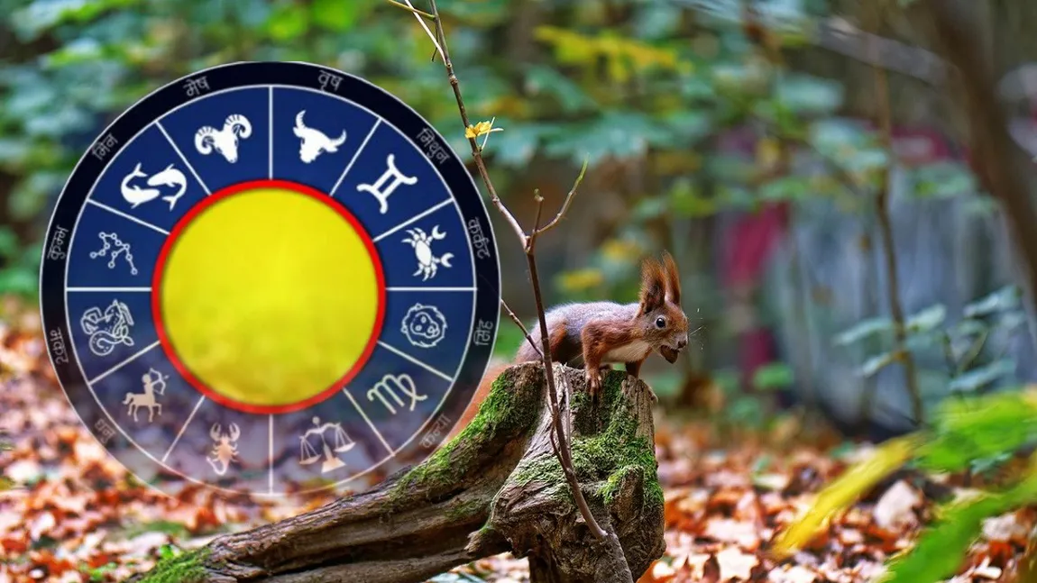 Horoscop noiembrie 2025. Oportunități uriașe pentru creșterea veniturilor, întâlniri romantice și aventuri neașteptate