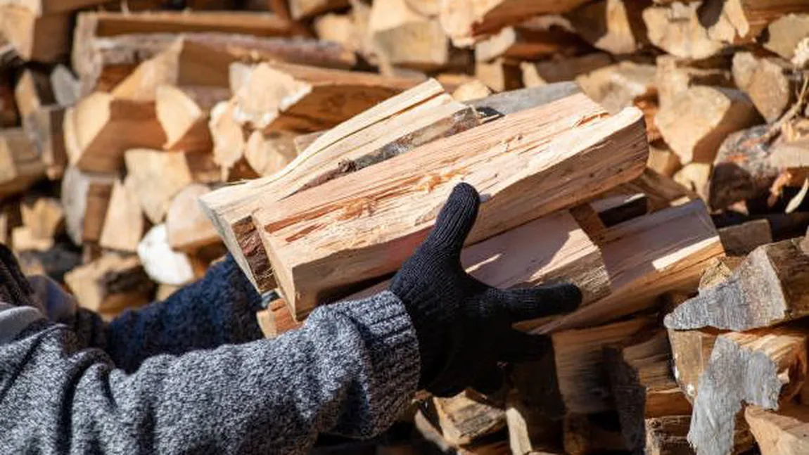 Preţ lemne 2025. Cât costă încălzirea cu o centrală pe lemne în această iarnă, creşteri semnificative faţă de anii trecuţi