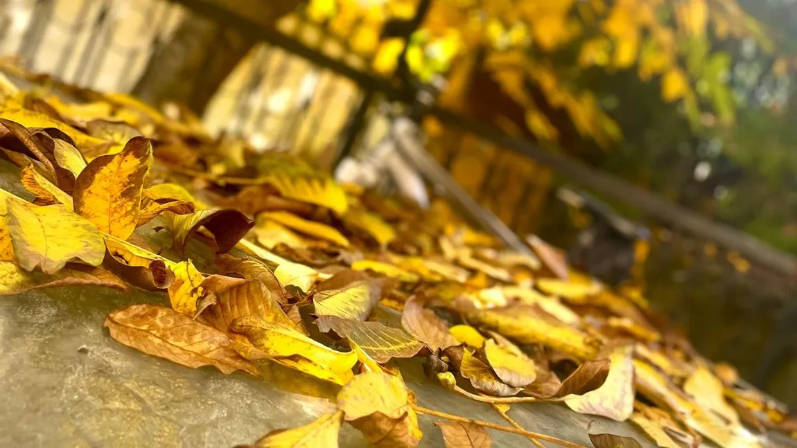 Prognoza meteo 20 octombrie - 17 noiembrie. Temperaturi mai ridicate decât cele specifice perioadei, până la jumătatea lunii noiembrie