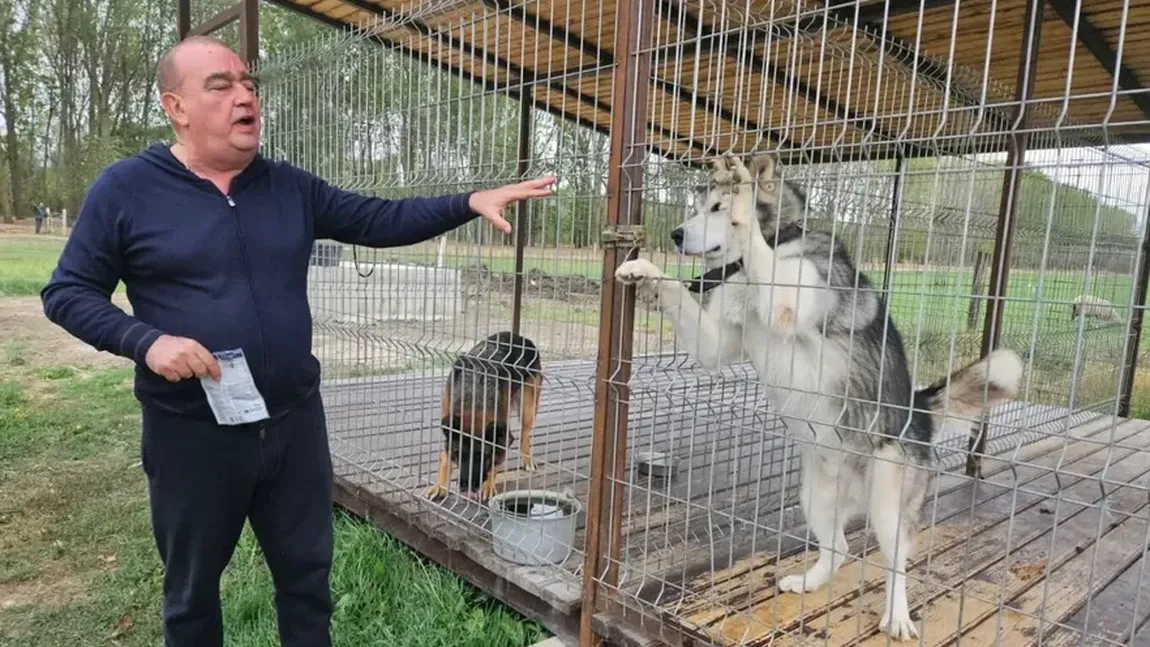 Gigi Neţoiu, afacere spectaculoasă: după fotbalişti, acum vinde câini de 20.000 de euro bucata. 