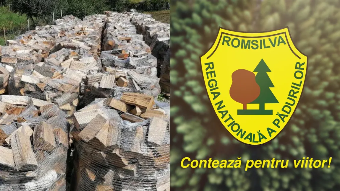 ROMSILVA distribuie populației 2 milioane de metri cubi de lemne pentru foc. Românii vor avea căldură în case în iarna lui 2025, iar angajații regiei oferă și transport la domiciliu și tăierea lemnelor