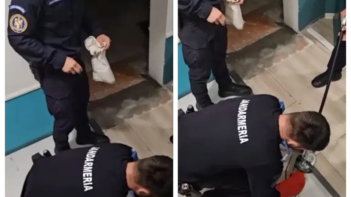 Imagini HALUCINANTE în centrul Bucureştiului. Un piton a evadat chiar din vecinătatea Catedralei Neamului VIDEO