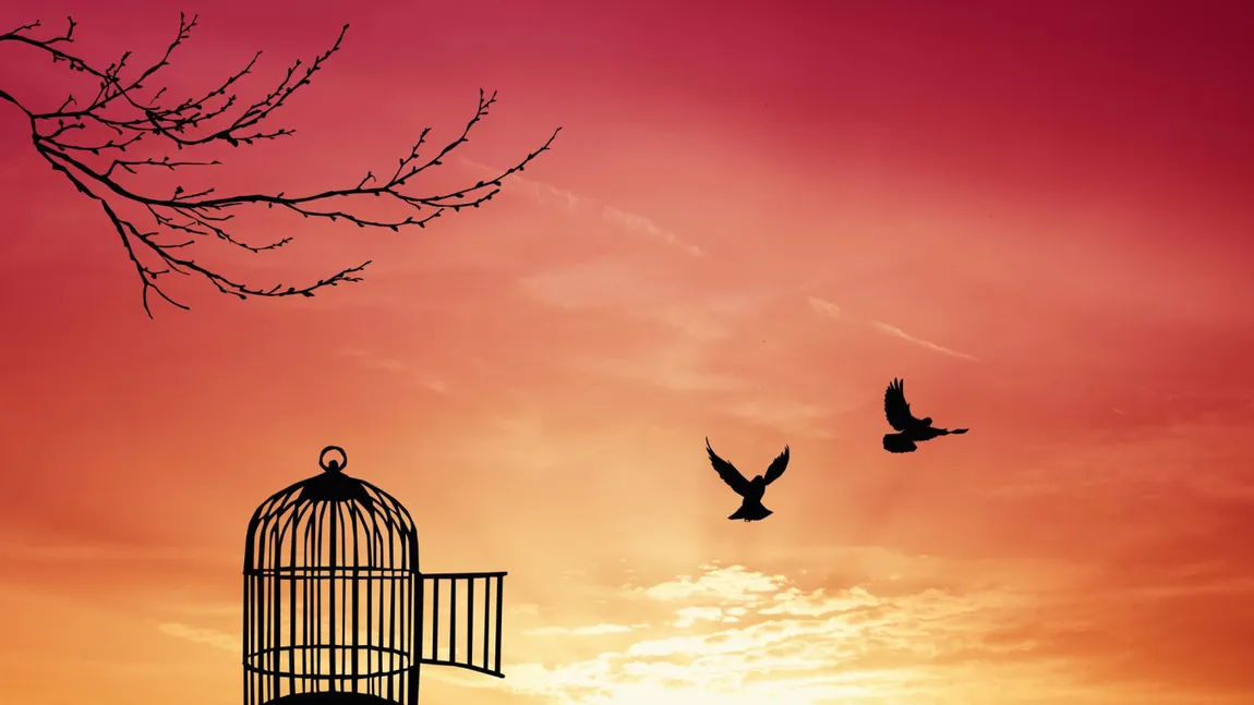 Gata cu greul! După 23 noiembrie 2025, 3 ZODII intră în cea mai BUNĂ perioadă din acest an  