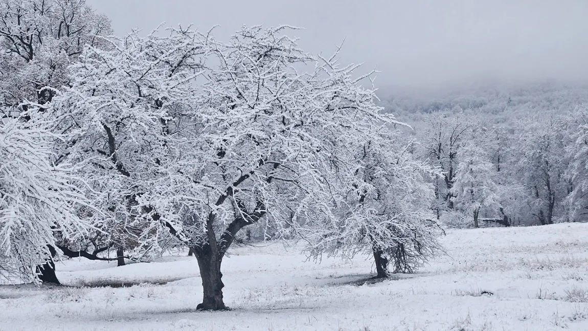 Horoscop 22 noiembrie 2025. Zi a clarităţii, a intenţiilor ferme şi a unei energii fabuloase de la o drumeţie în natură