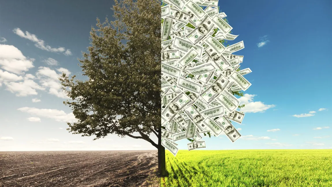 Karma banilor. TIPARE inconștiente ale ZODIILOR cu BANII și „antidotul