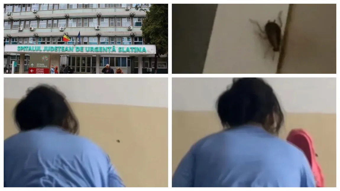 Condiții horror la spitalul din Slatina: gândaci în saloane, toalete de nefolosit. Pacienții vânează insectele cu papucul!