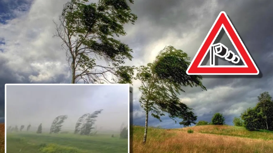 Cod Galben de vreme extremă emis de ANM. Trei județe se vor confrunta cu rafale de vând de până la 120 km/h