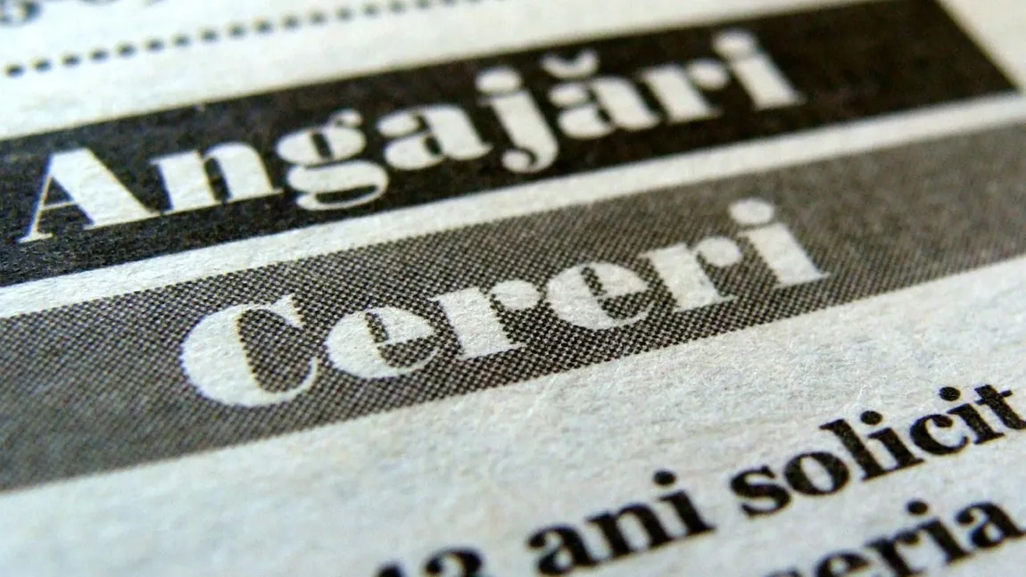 Val de angajări sezoniere în perioada sărbătorilor de iarnă. Domeniile care au nevoie de mai mulți angajați