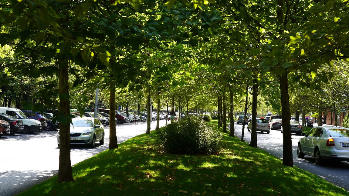 Natura, infrastructură de sănătate publică?