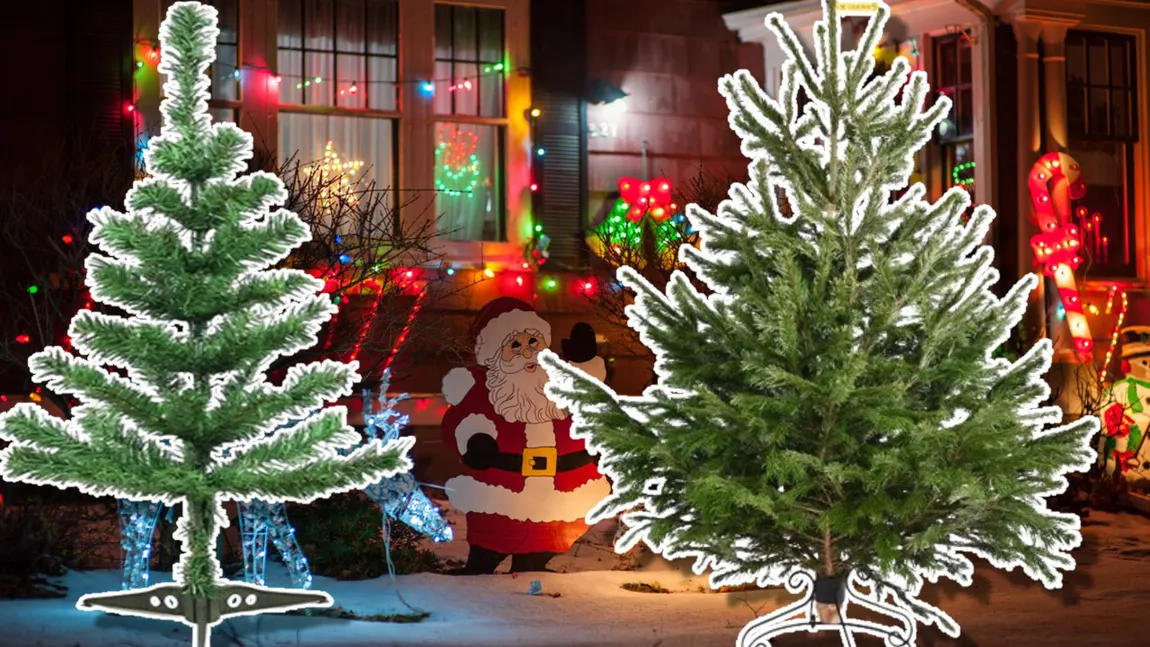 Românii preferă să cumpere brad natural pentru Crăciun și intenționează să cheltuiască până la 400 lei - studiu