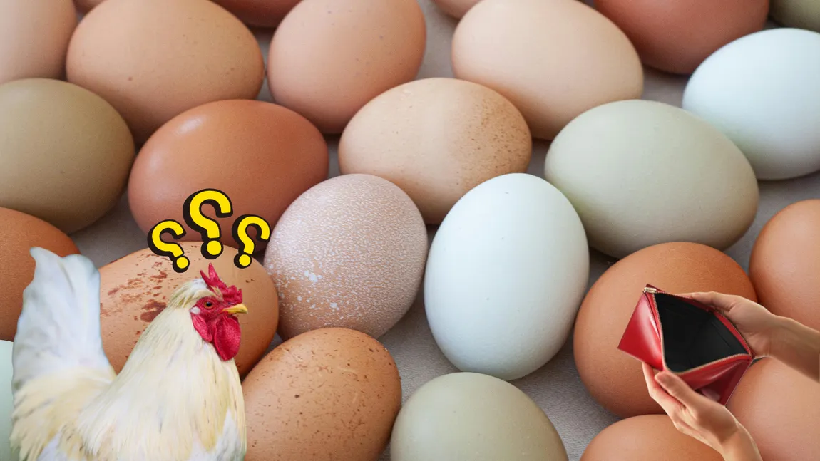Un cofraj cu 6 ouă lovește puternic în bugetele românilor, chiar înainte de sărbători. APC trage semnalul de alarmă: „Prețurile au explodat”