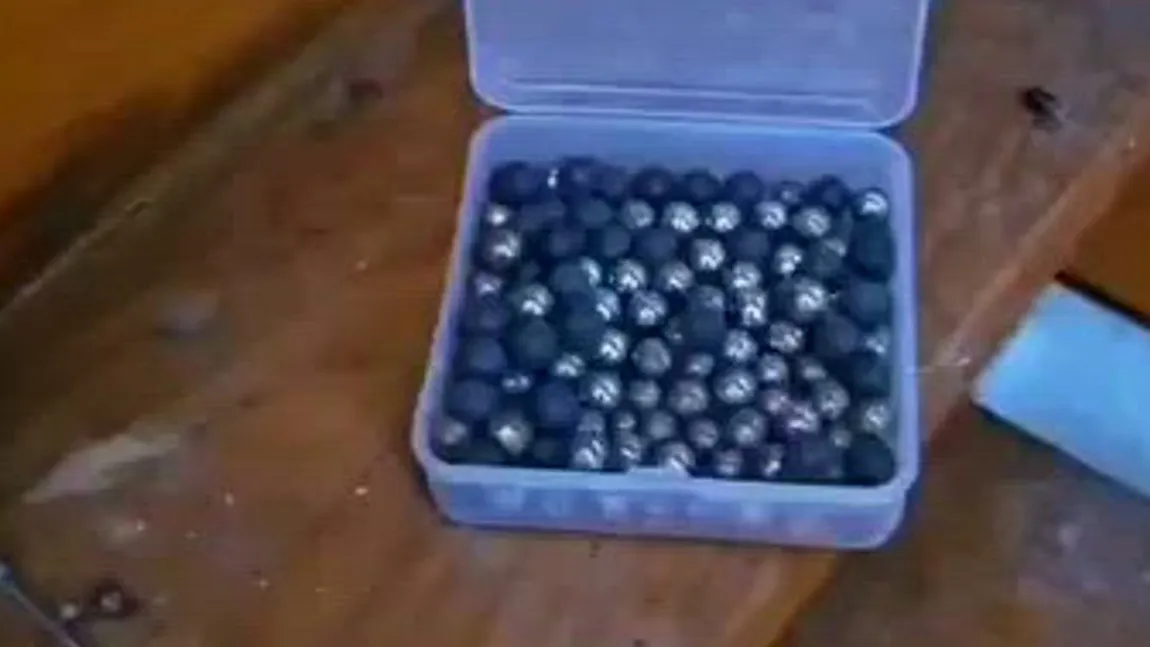 Descoperire şocantă a Poliţiei Constanţa. Mai multe aparate de tortură improvizate au fost găsite în curtea unui bărbat de 58 de ani, acuzat că a rănit o pisică