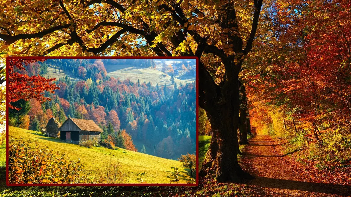 Prognoza meteo 16 noiembrie 2025. Săptămâna se încheie cu temperaturi foarte mari, pentru această perioadă. Maxima zilei, de 21 de grade