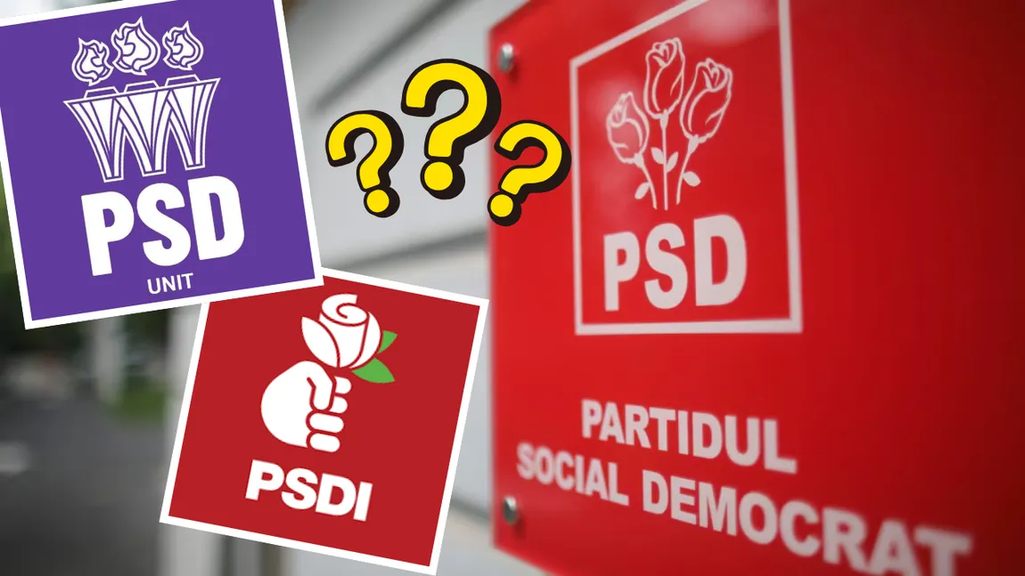Una dintre clonele PSD care le-a „furat” voturile la alegerile parlamentare se întoarce pentru runda a doua