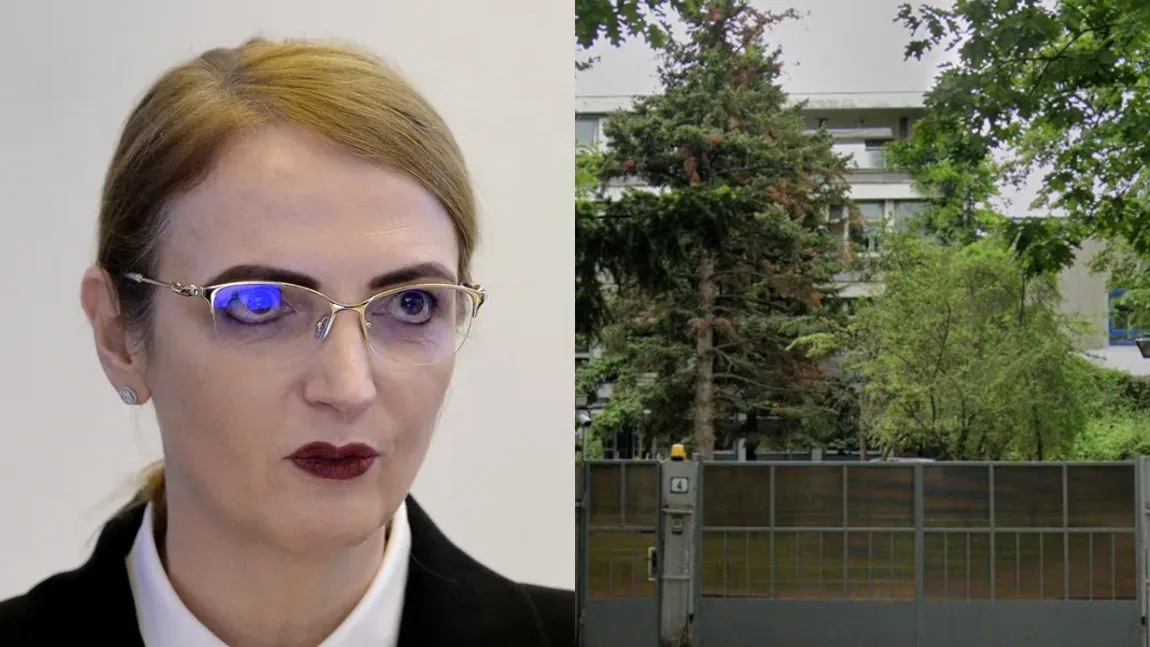 Lia Savonea a primit reședință de serviciu cu cinci camere de la RAAPPS deși stă în Chiajna, la doi pași de București. Va locui lângă Arcul de Triumf, într-o locuință în care au stat și Traian Băsescu sau Adrian Năstase