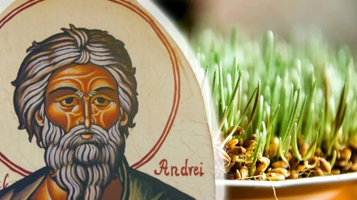 Tradiții de Sfântul Andrei. Când se pune grâușor la încolțit și care este rolul acestuia