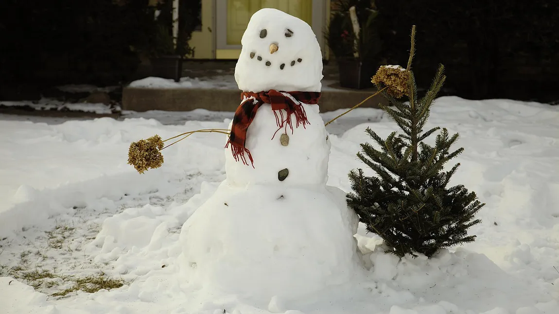 Avertizare meteo de ultimă oră. Meteorologii anunță trei zile de ploi, ninsori și vânt. Cum va fi vremea în București